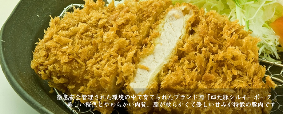 かつグルメのお肉は、四元豚。